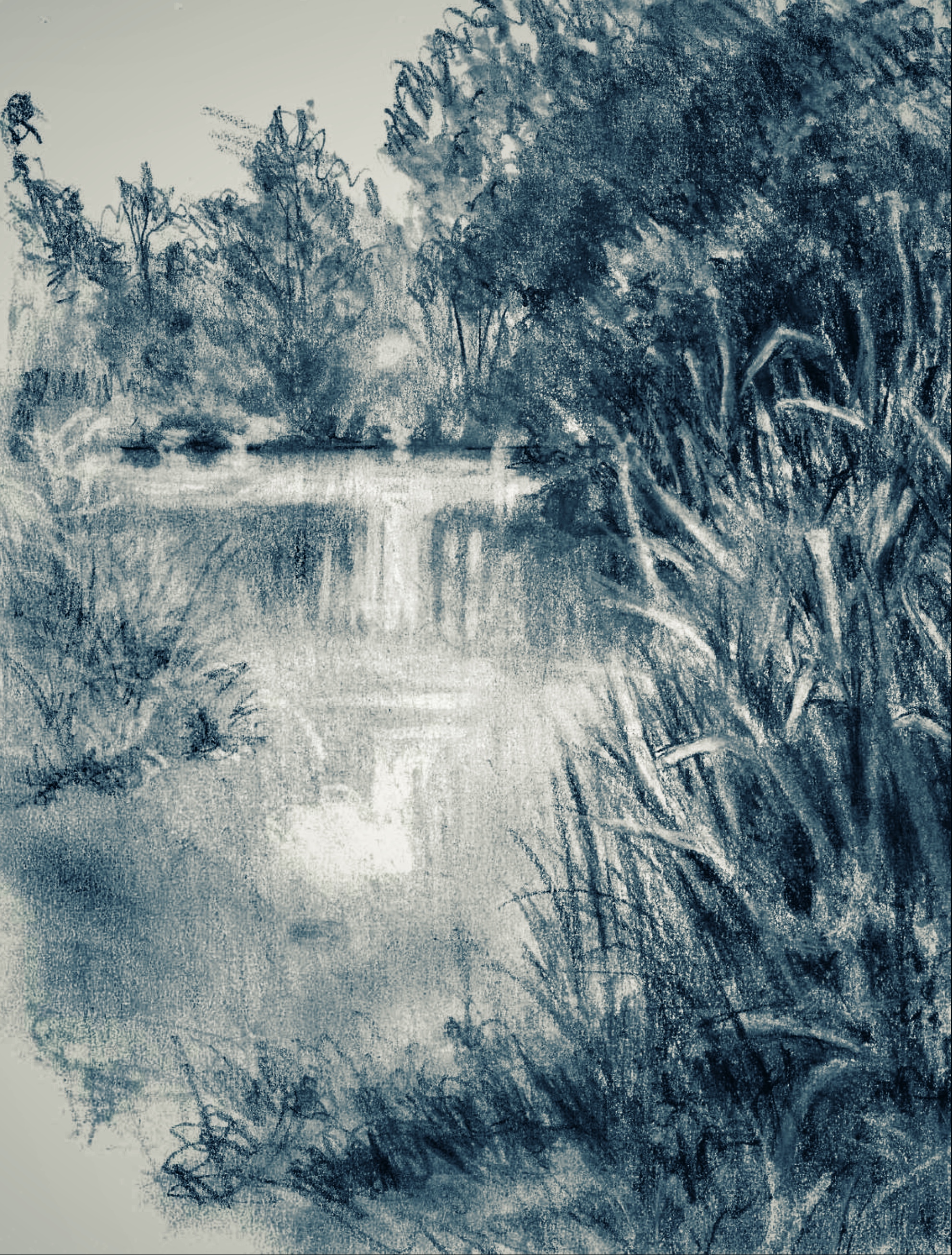 pond tranquil