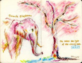 象と桜の光