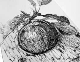 Apple – Moleskine 02