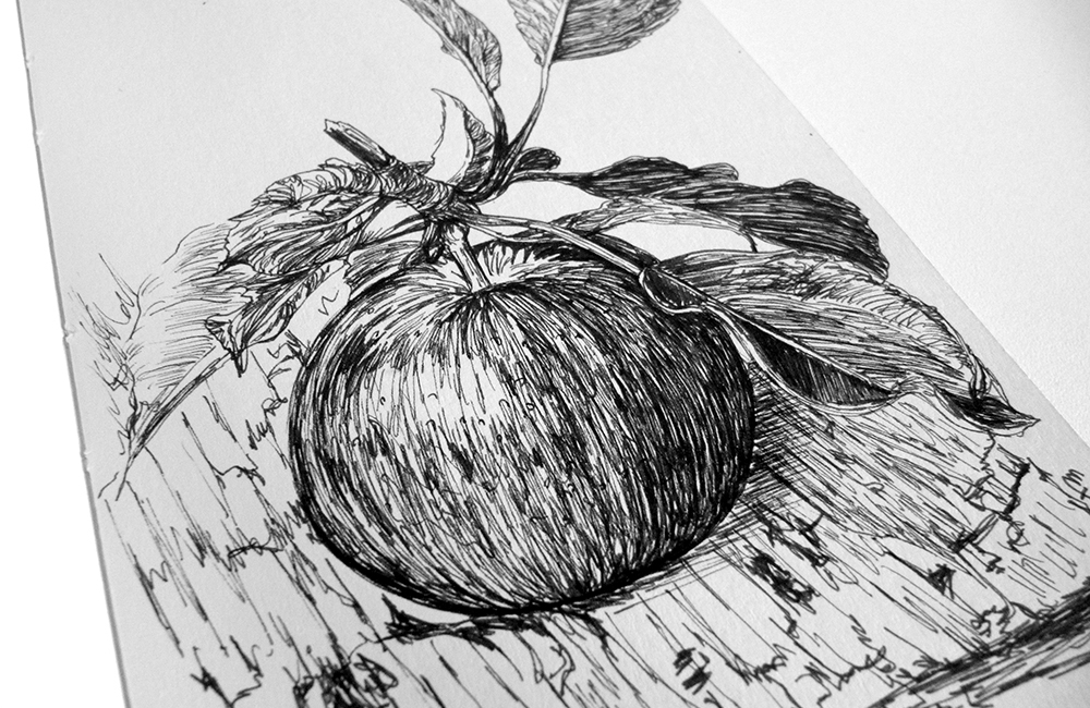 Apple – Moleskine 02