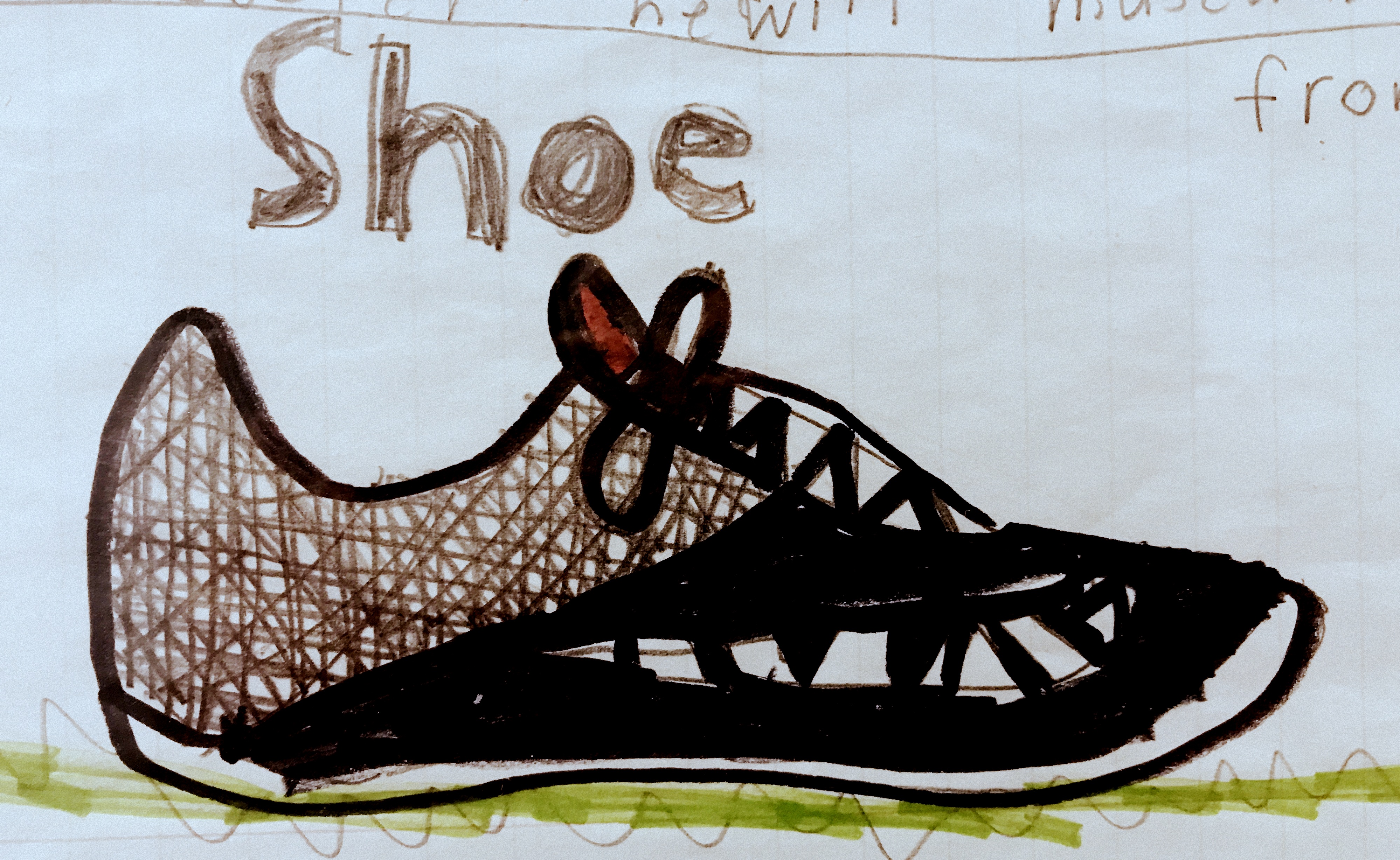 shoe