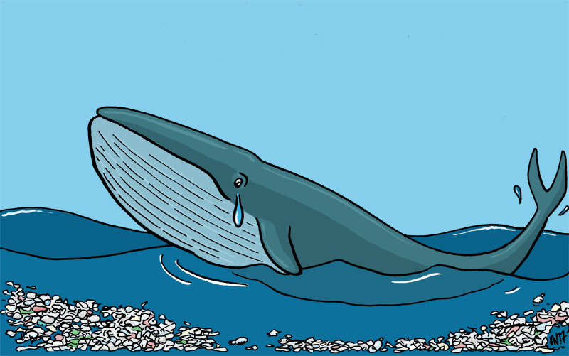 Blue Whale