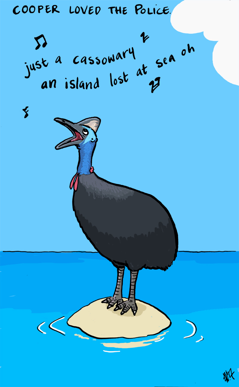 C is for Cassowary