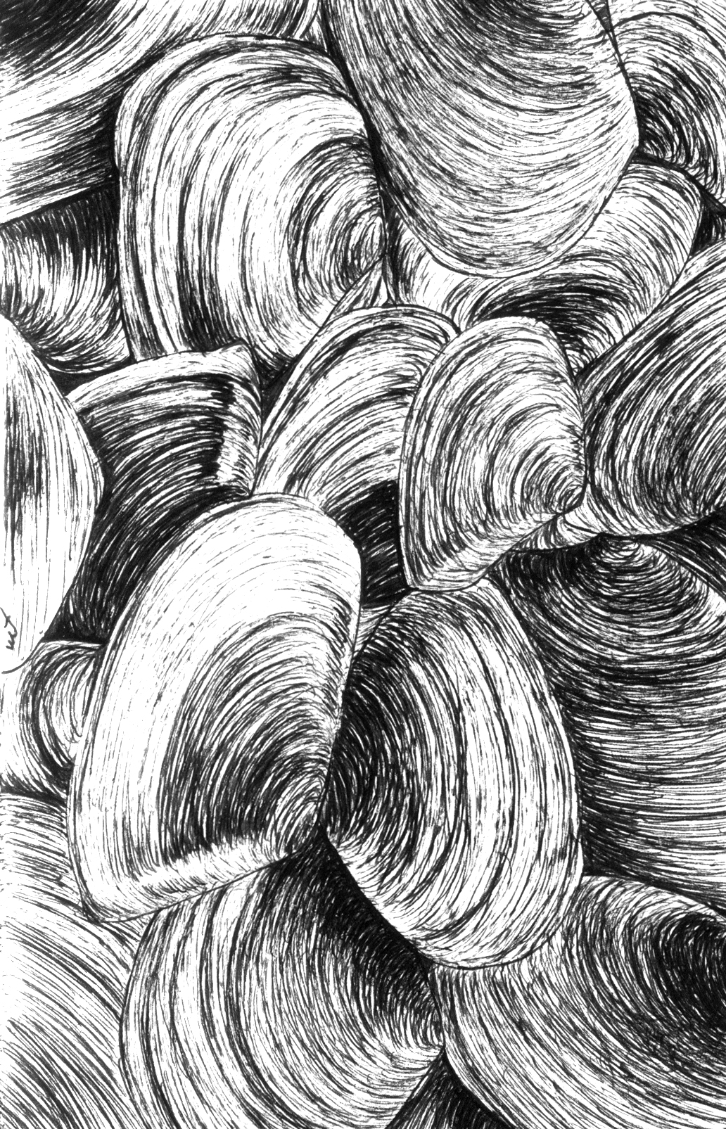 Shells  – Moleskine 01