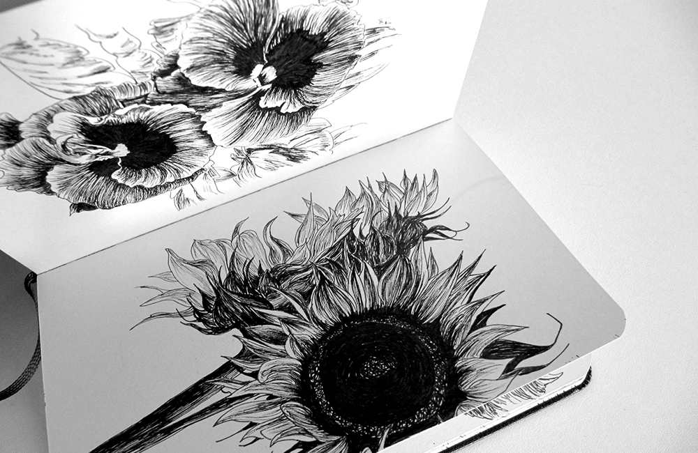 Sunflowers – Moleskine 02