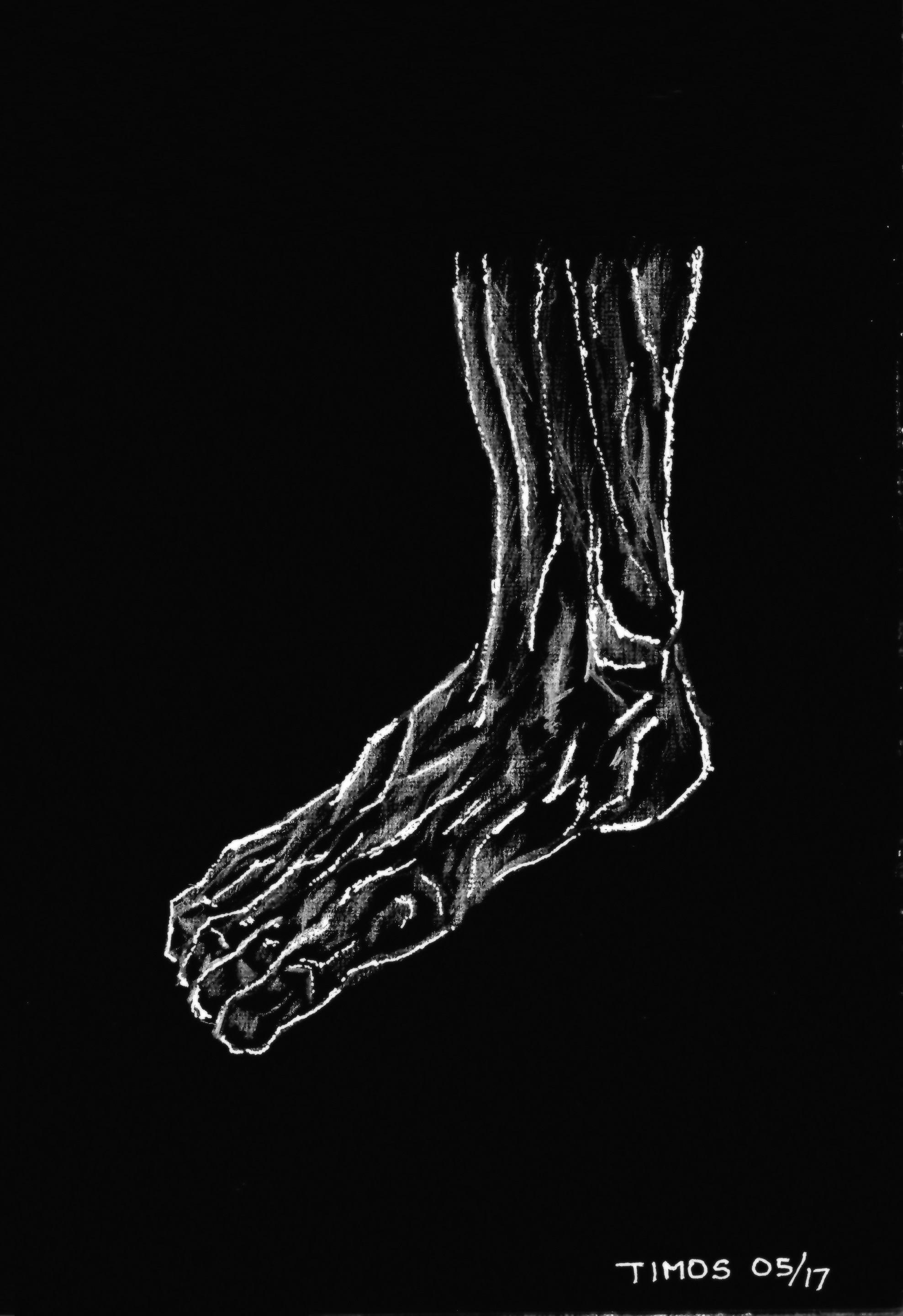 human foot