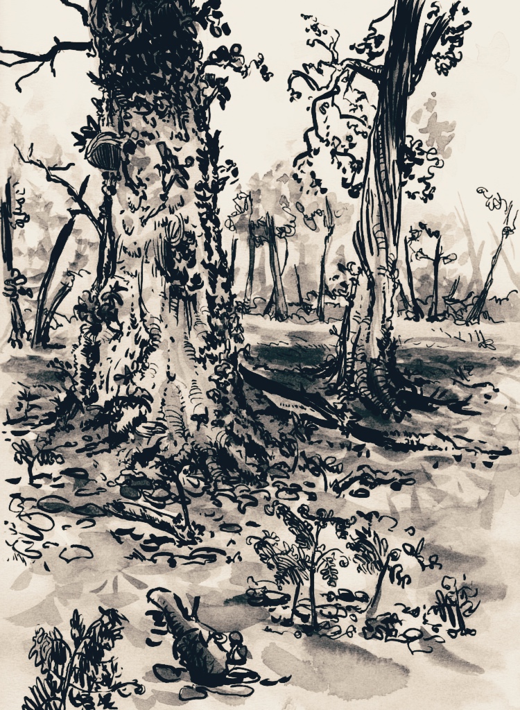 trees in marsh