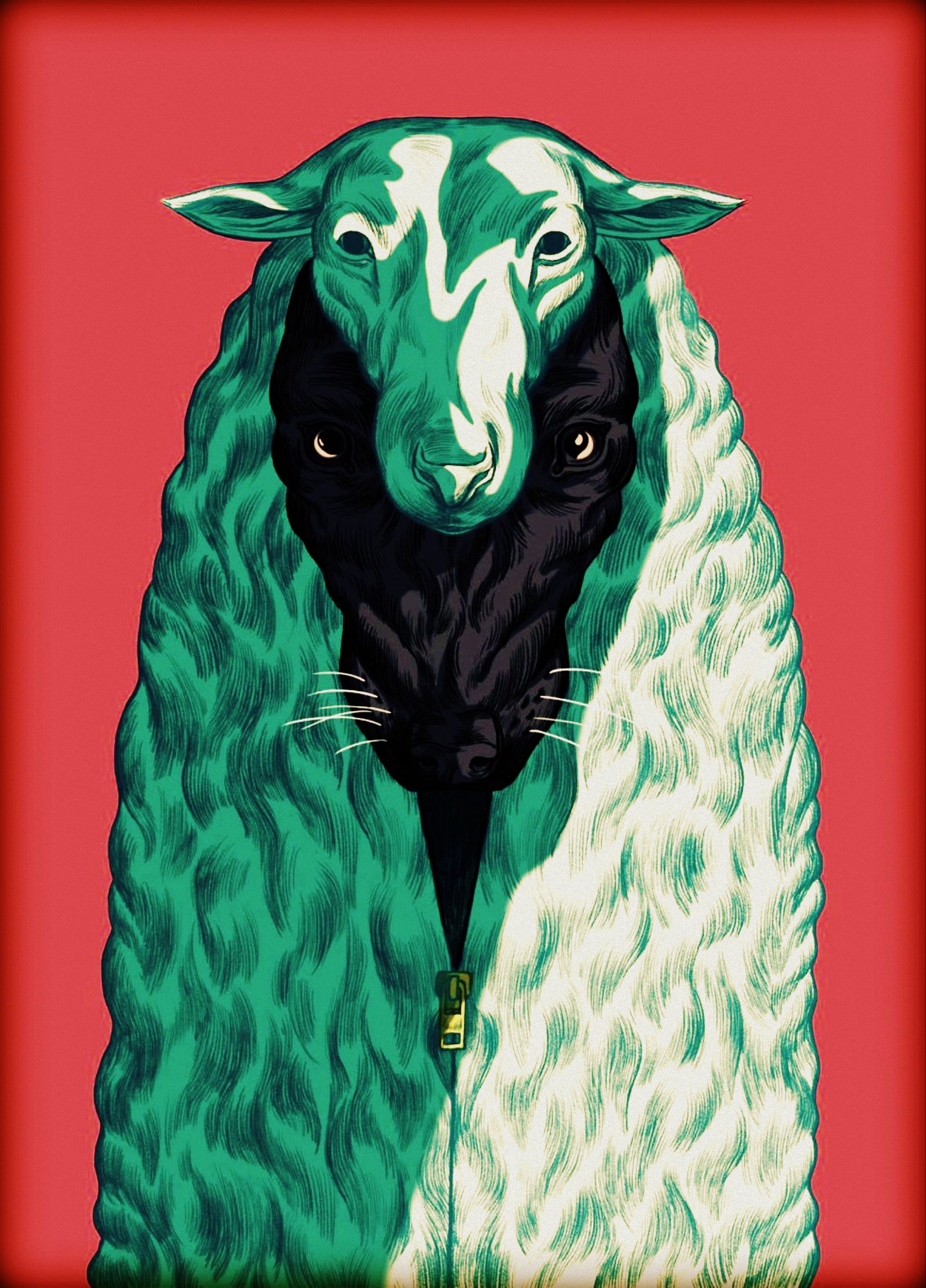 wolf in sheep’s …