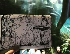 Aquarium sketch
