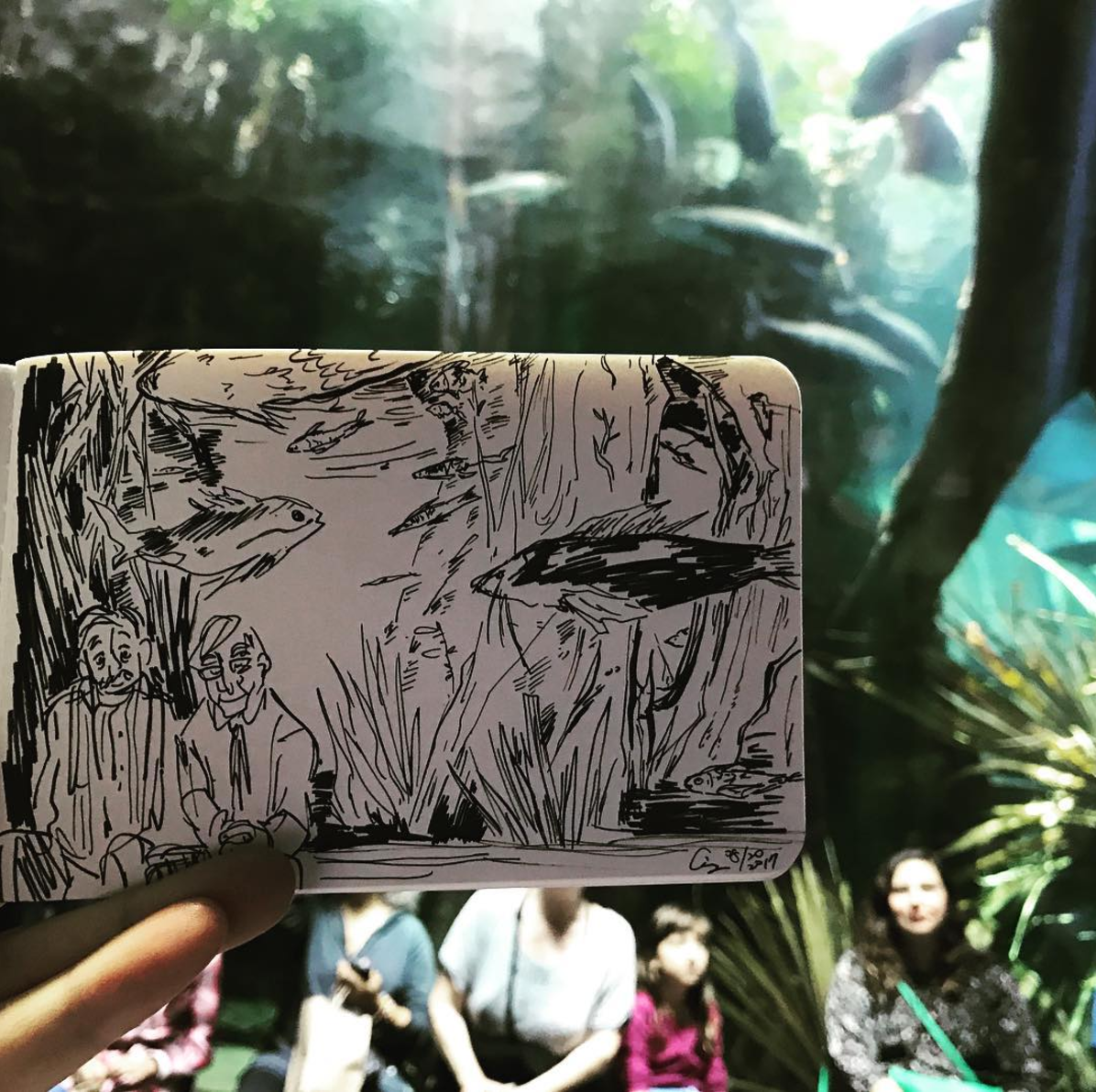 Aquarium sketch