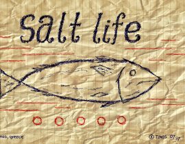 salt life