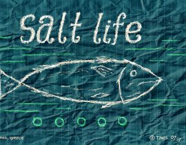 salt life