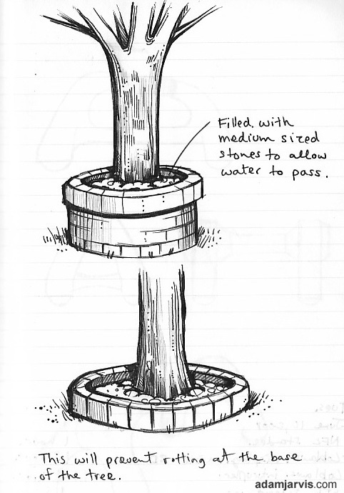 Tree base sketch