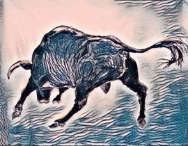 bull II