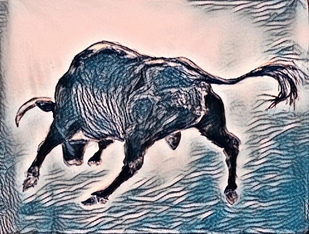 bull II