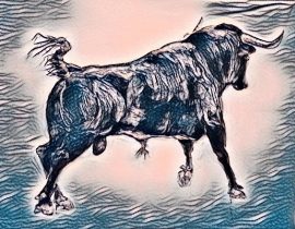 bull I