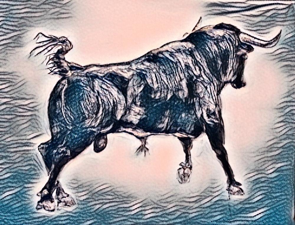 bull I