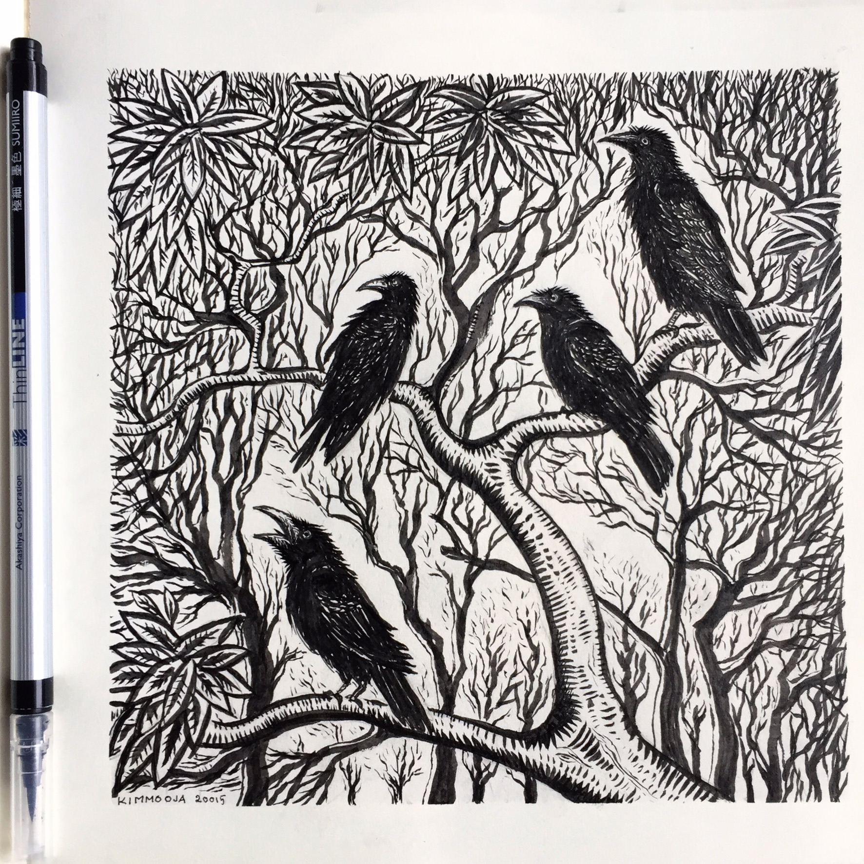 Crows