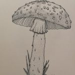 Amanita Muscaria