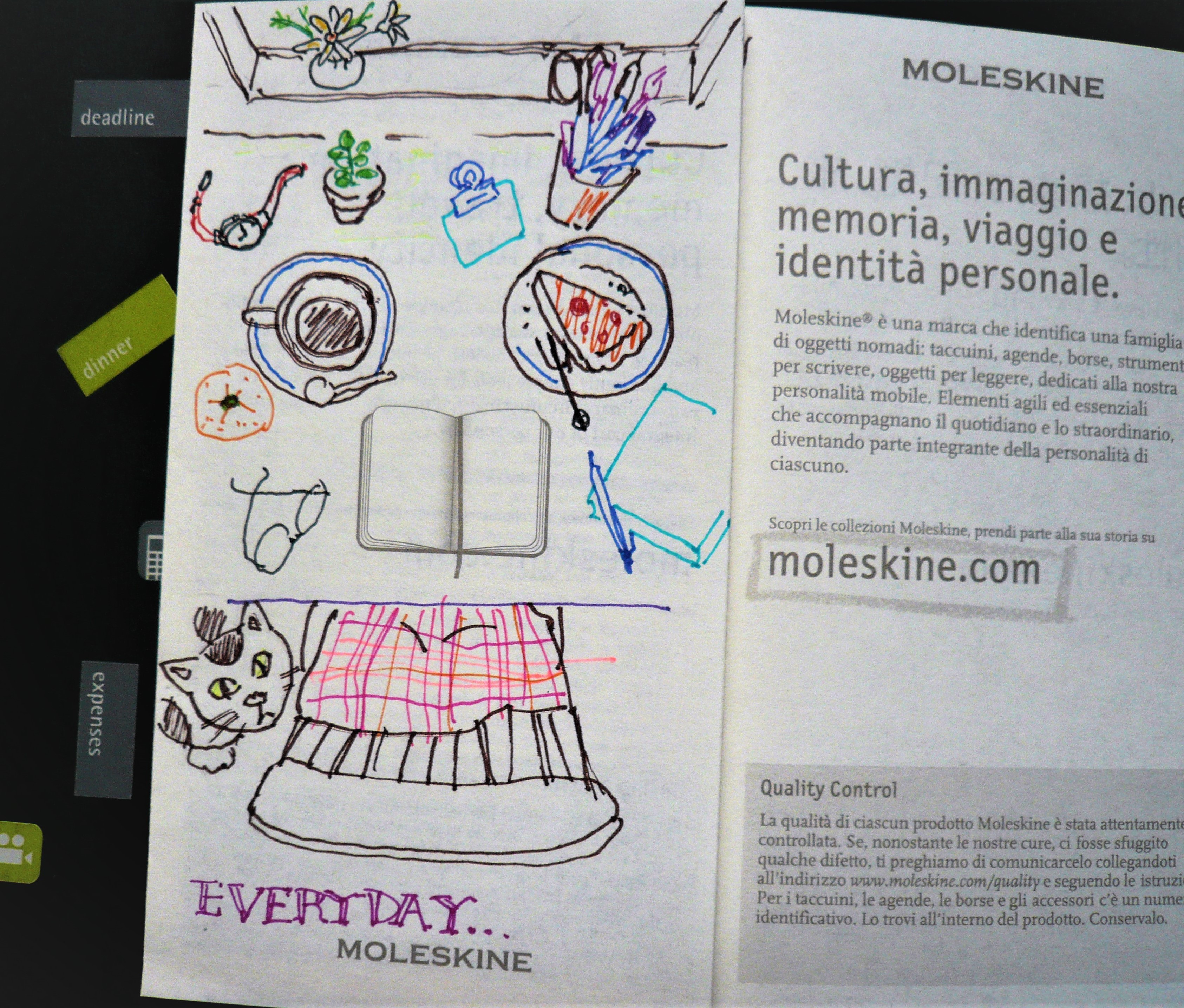 Everyday Moleskine