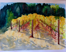 Portola Vineyards