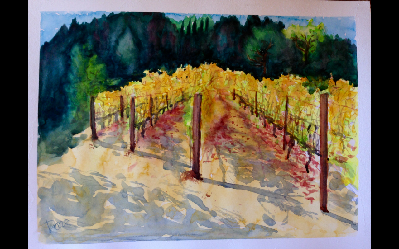 Portola Vineyards