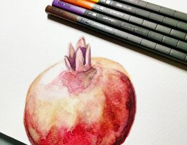 Pomegranate study 2