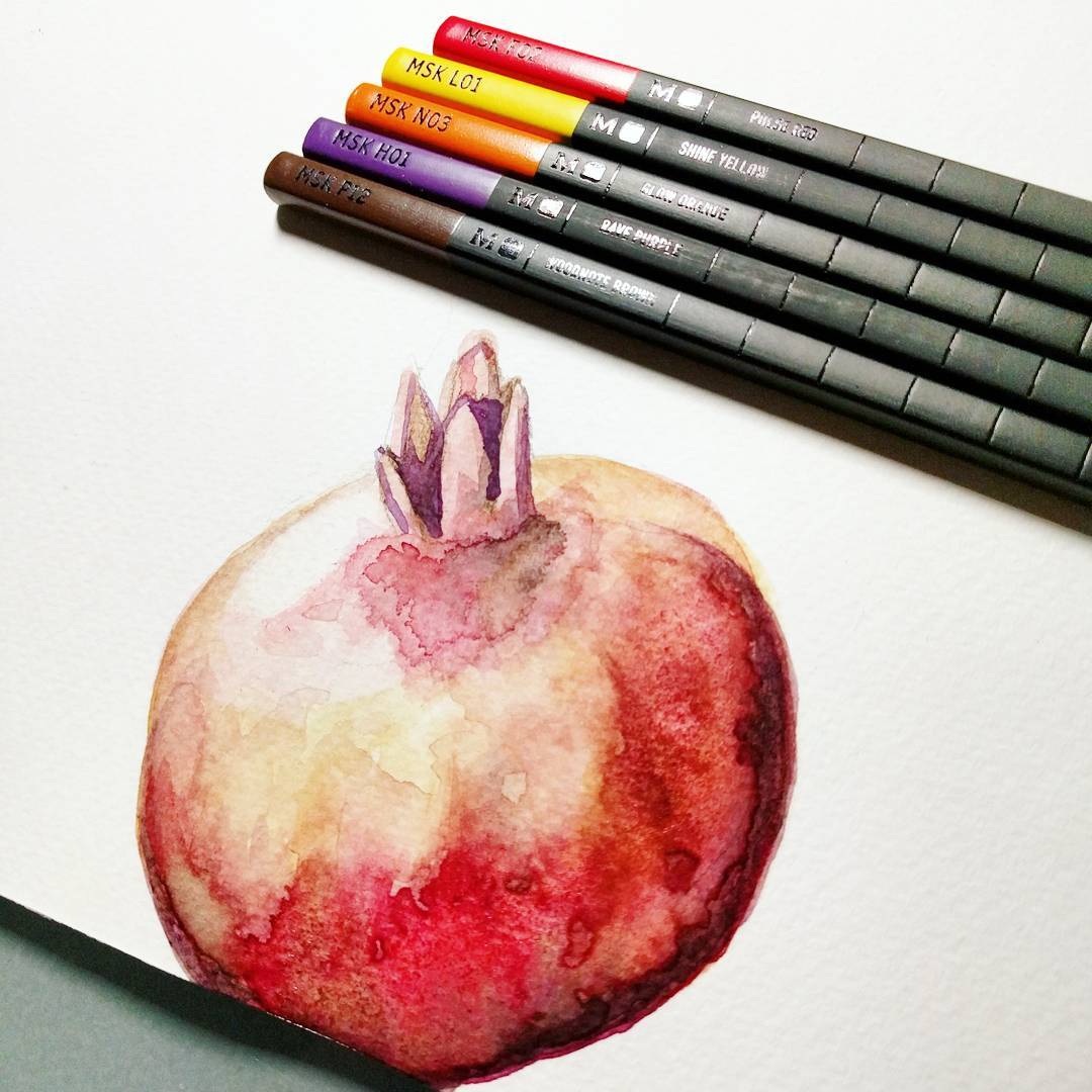 Pomegranate study 2