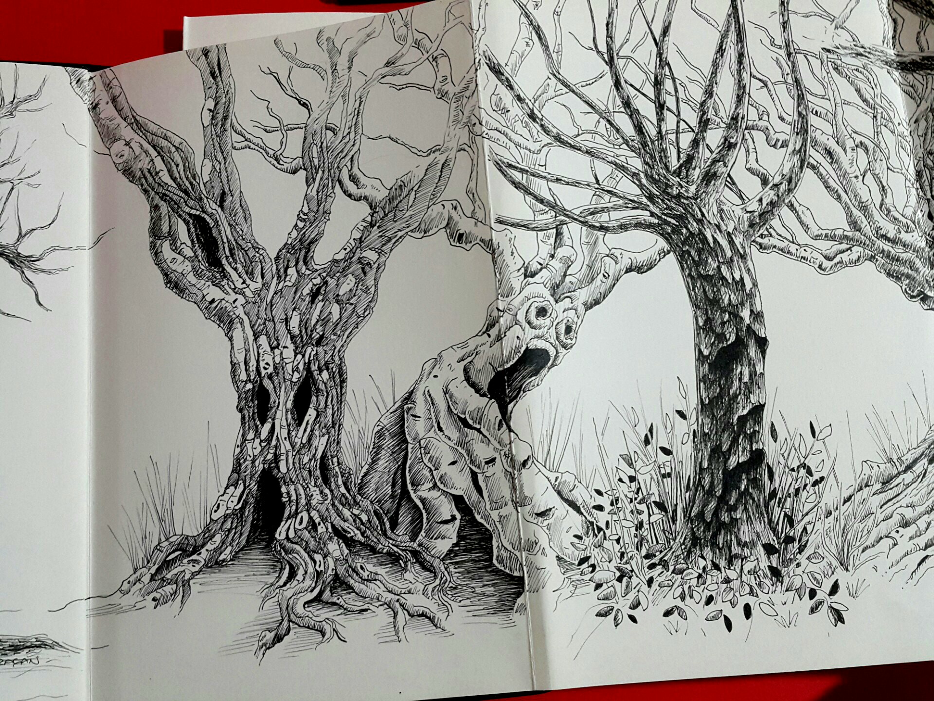 Creepy Trees