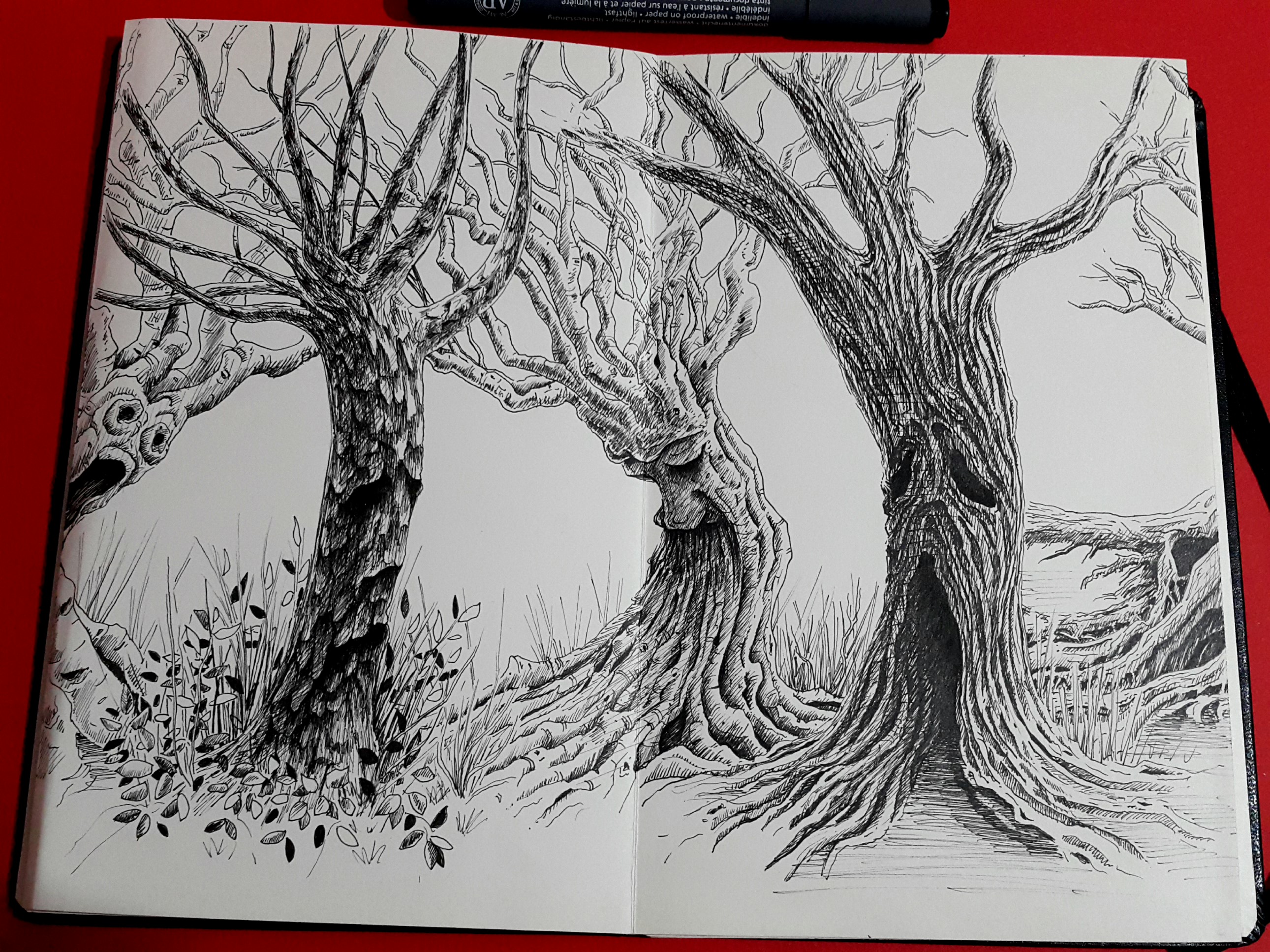 Creepy Trees