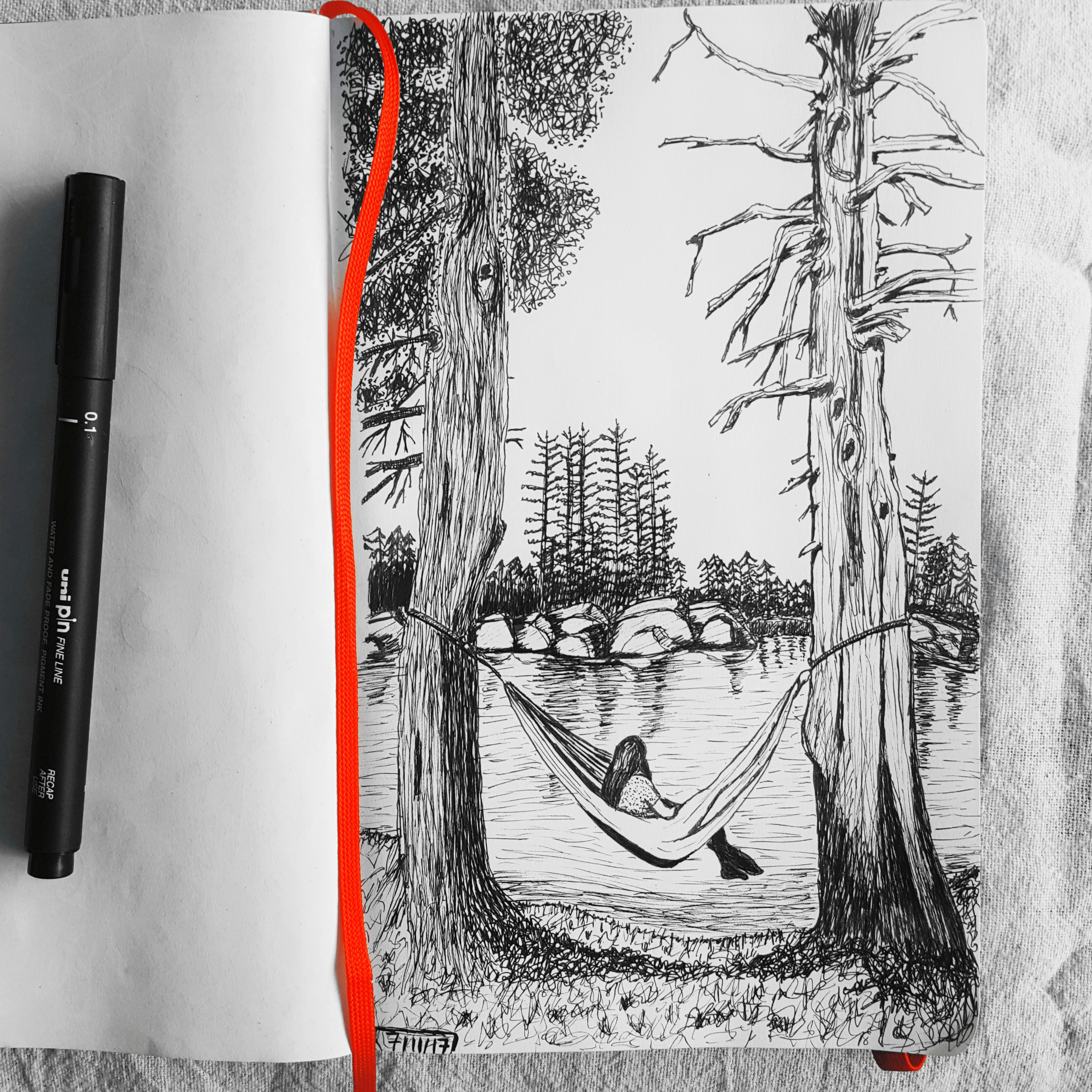 First attempt of sketching nature