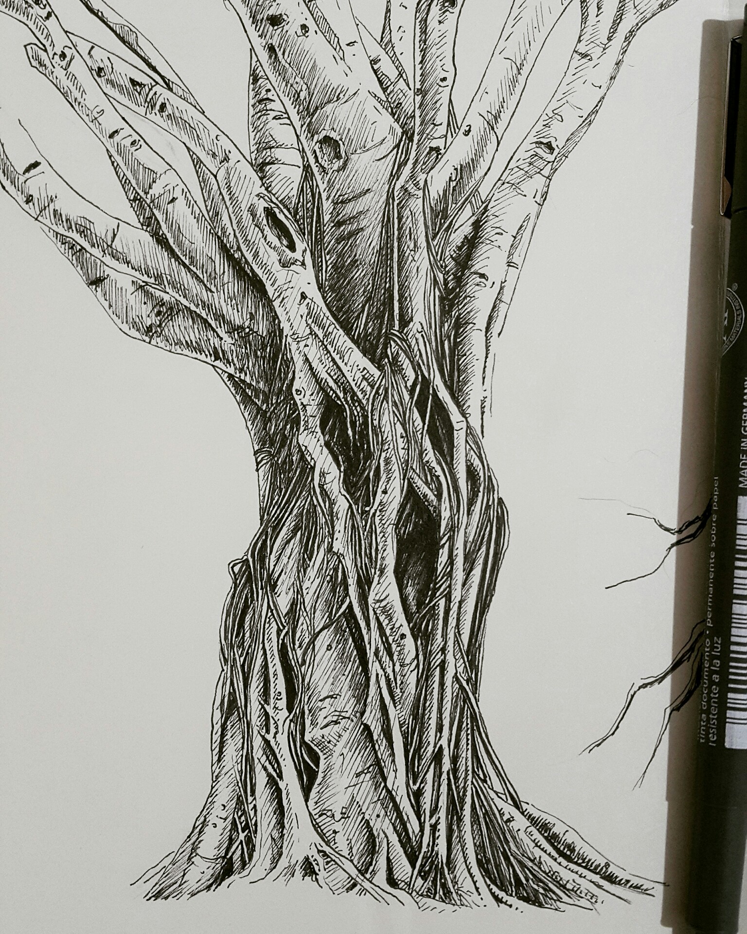 Tree