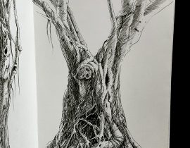 Creepy Trees