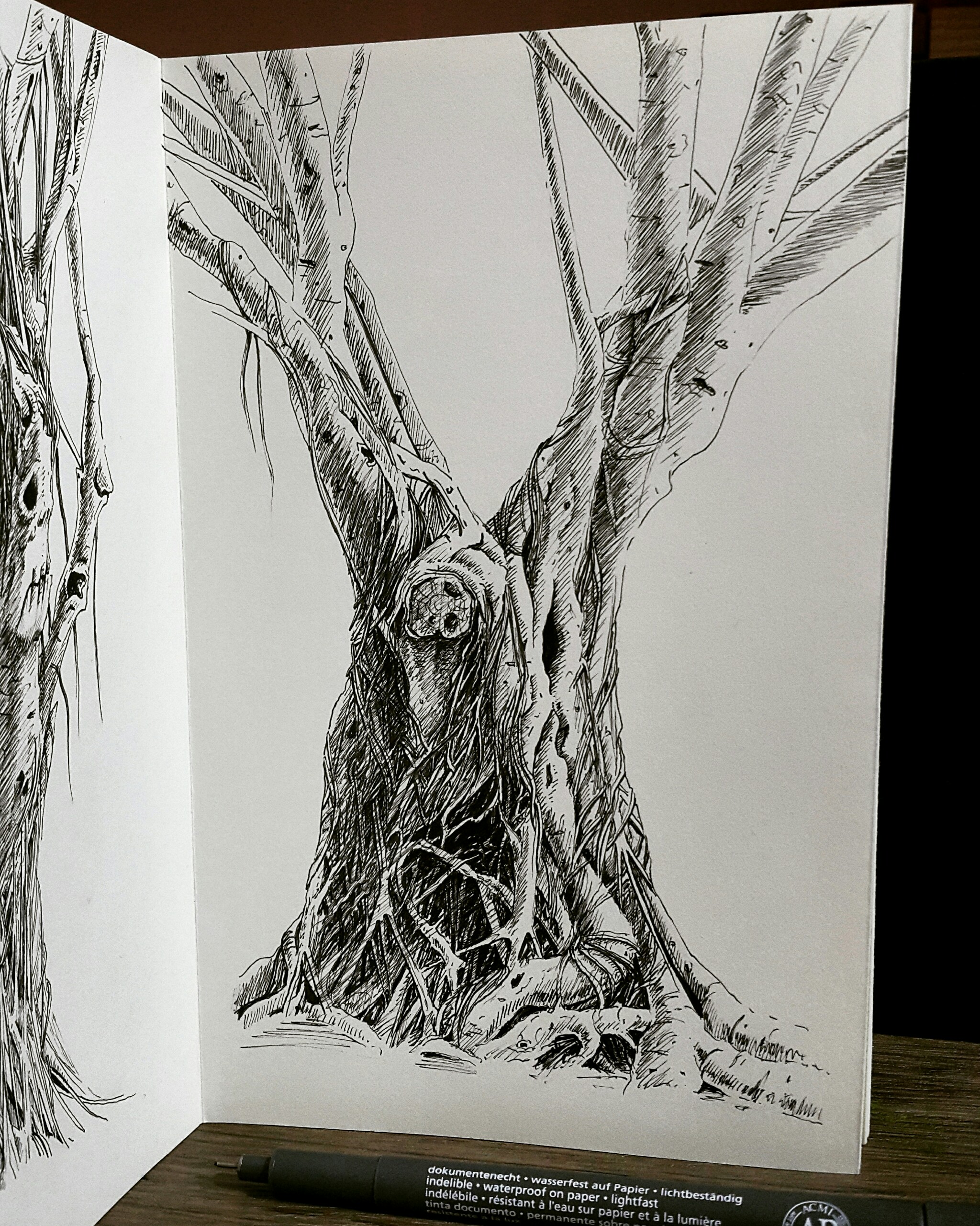 Creepy Trees