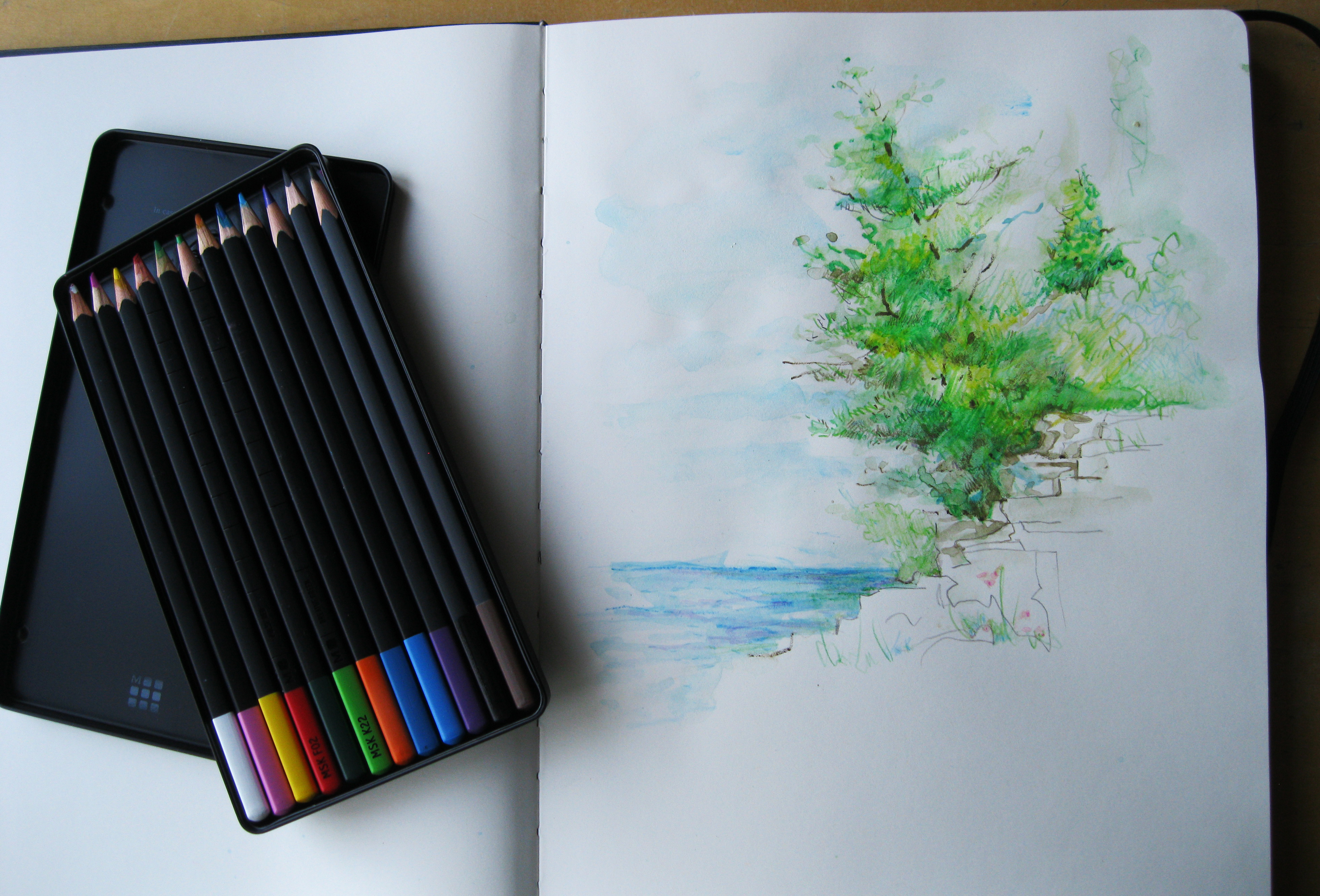 Moleskine watercolor pencils (The Cliffs of Door County)