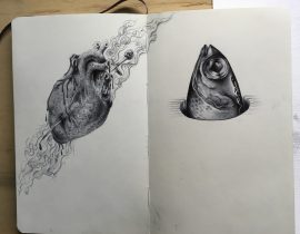 Fish & heart