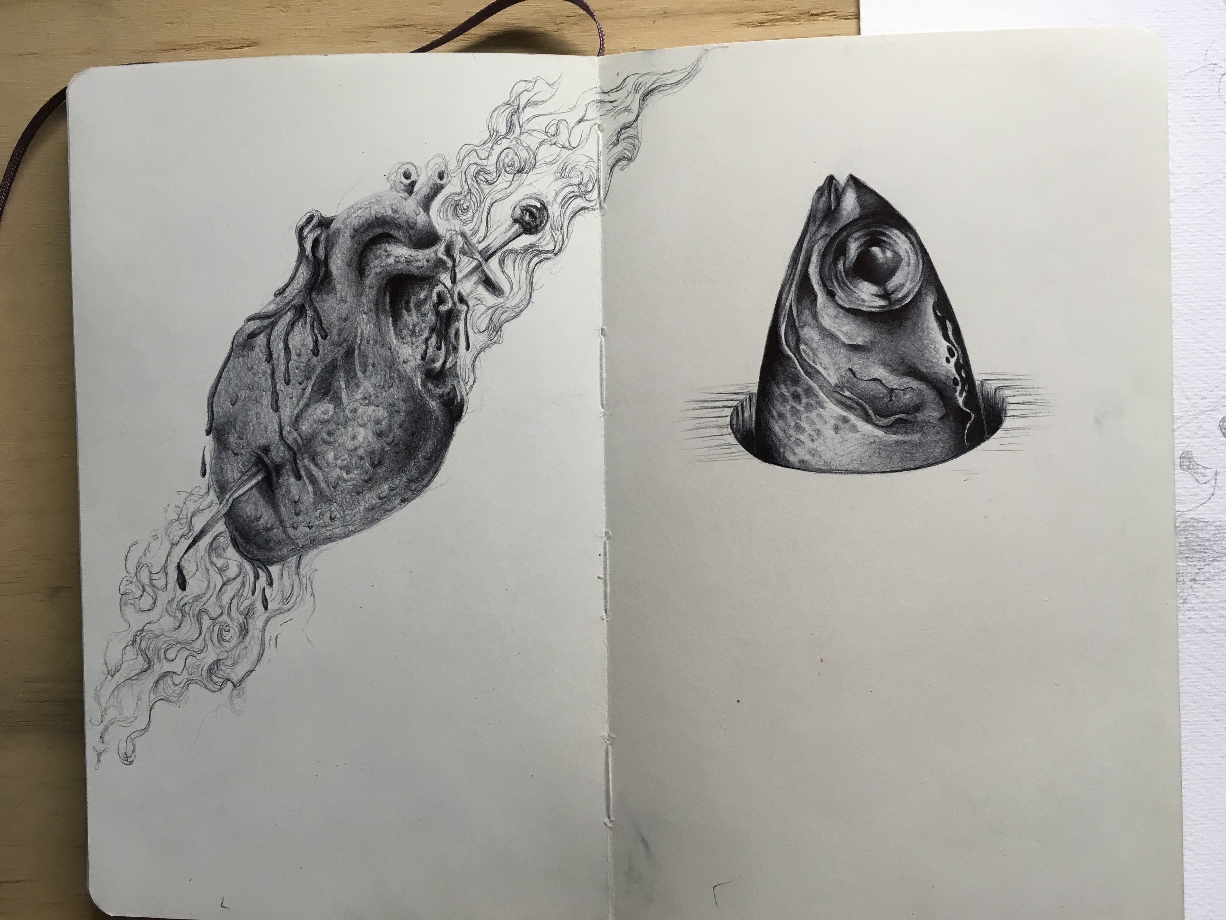 Fish & heart