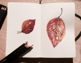 Autumn leaves