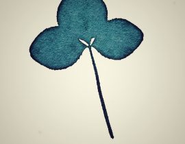 Clover