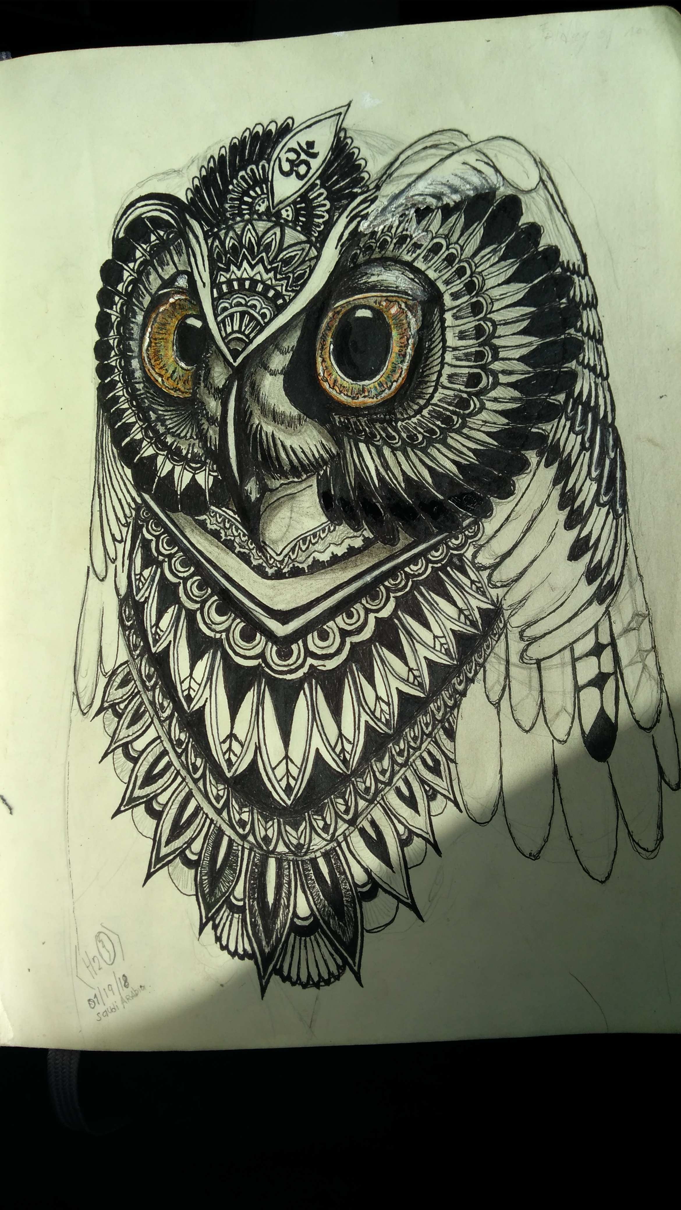 trippy owl