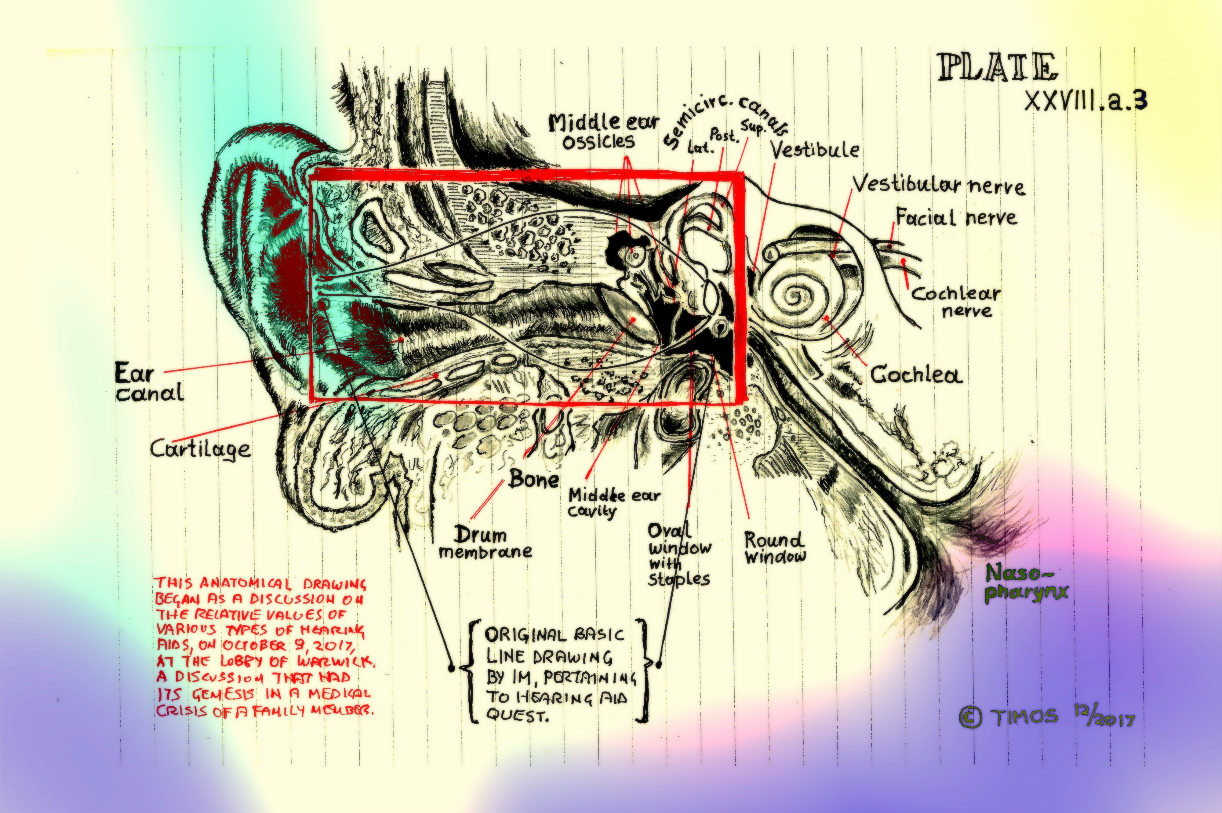 inner ear explorations
