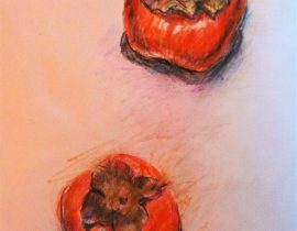 Persimmons