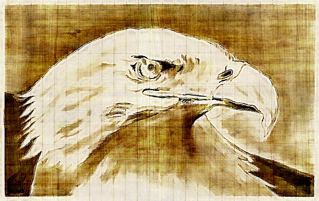 bald eagle