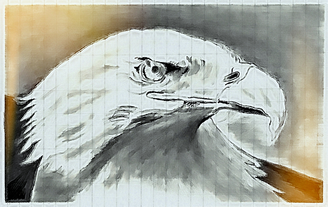 bald eagle