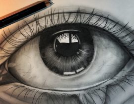 Eye