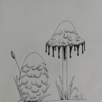 Coprinus Comatus