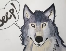 Wolf