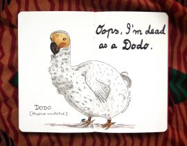 Oops, I’m dead as a dodo.