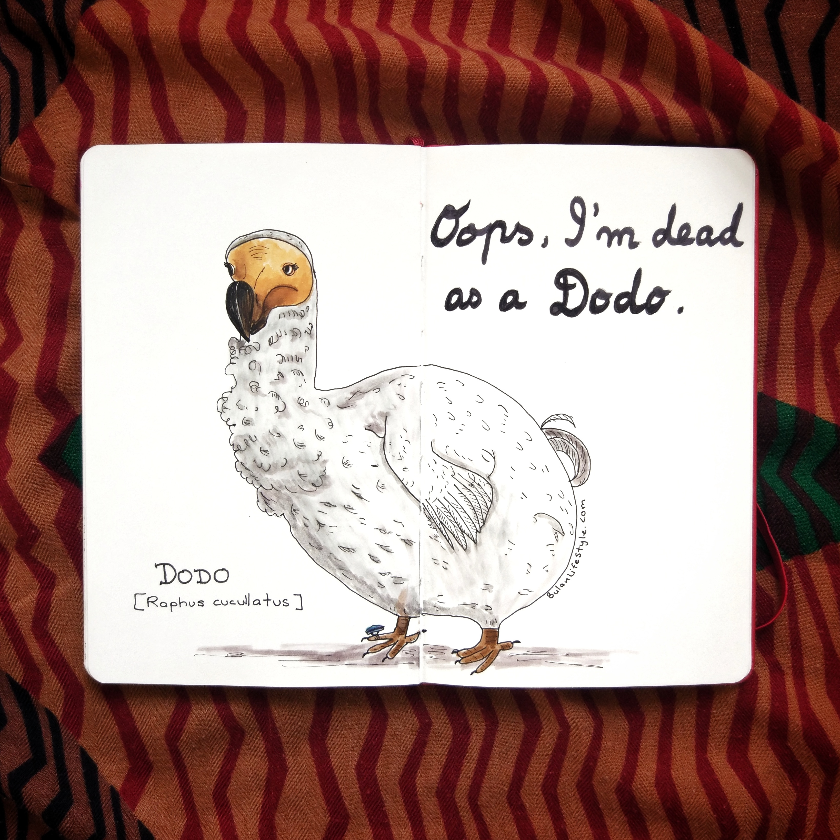 Oops, I’m dead as a dodo.