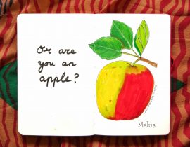 Or are you an apple?